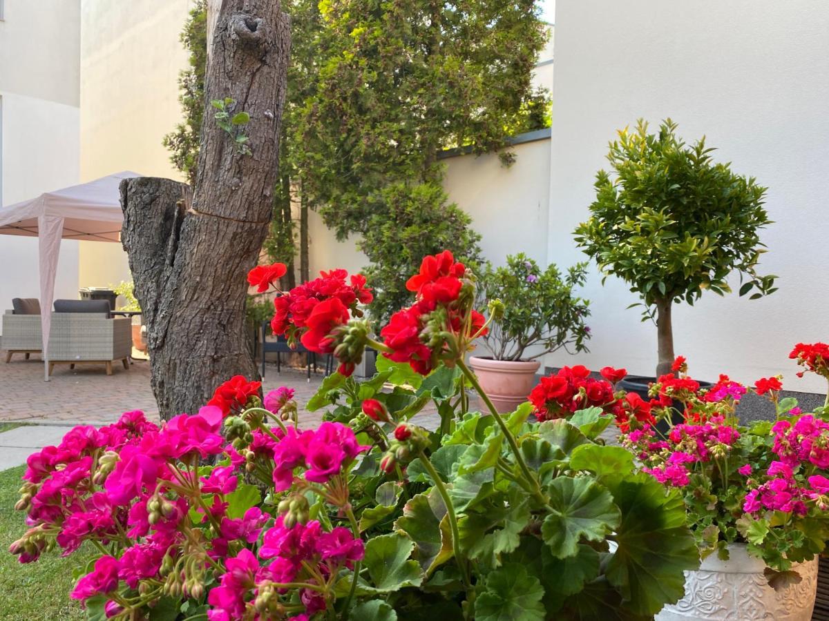 Pension Villa Ostseetraum 罗斯托克 外观 照片